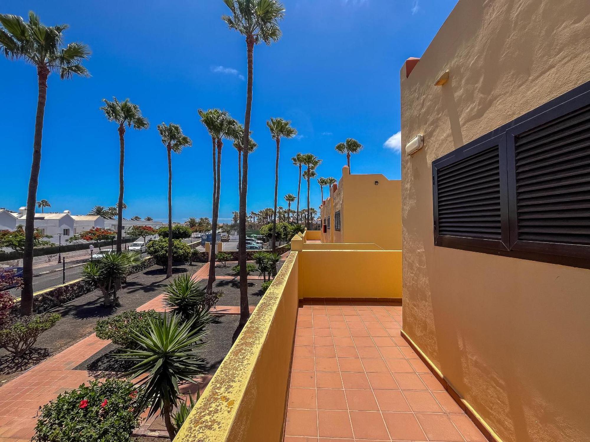 Oasis Royal F313 Appartamento Corralejo