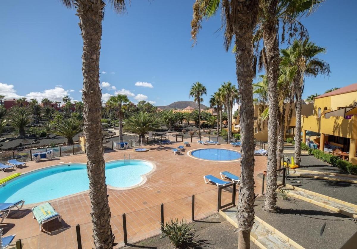 Oasis Royal 13 Vista Piscina By Lightbooking Corralejo